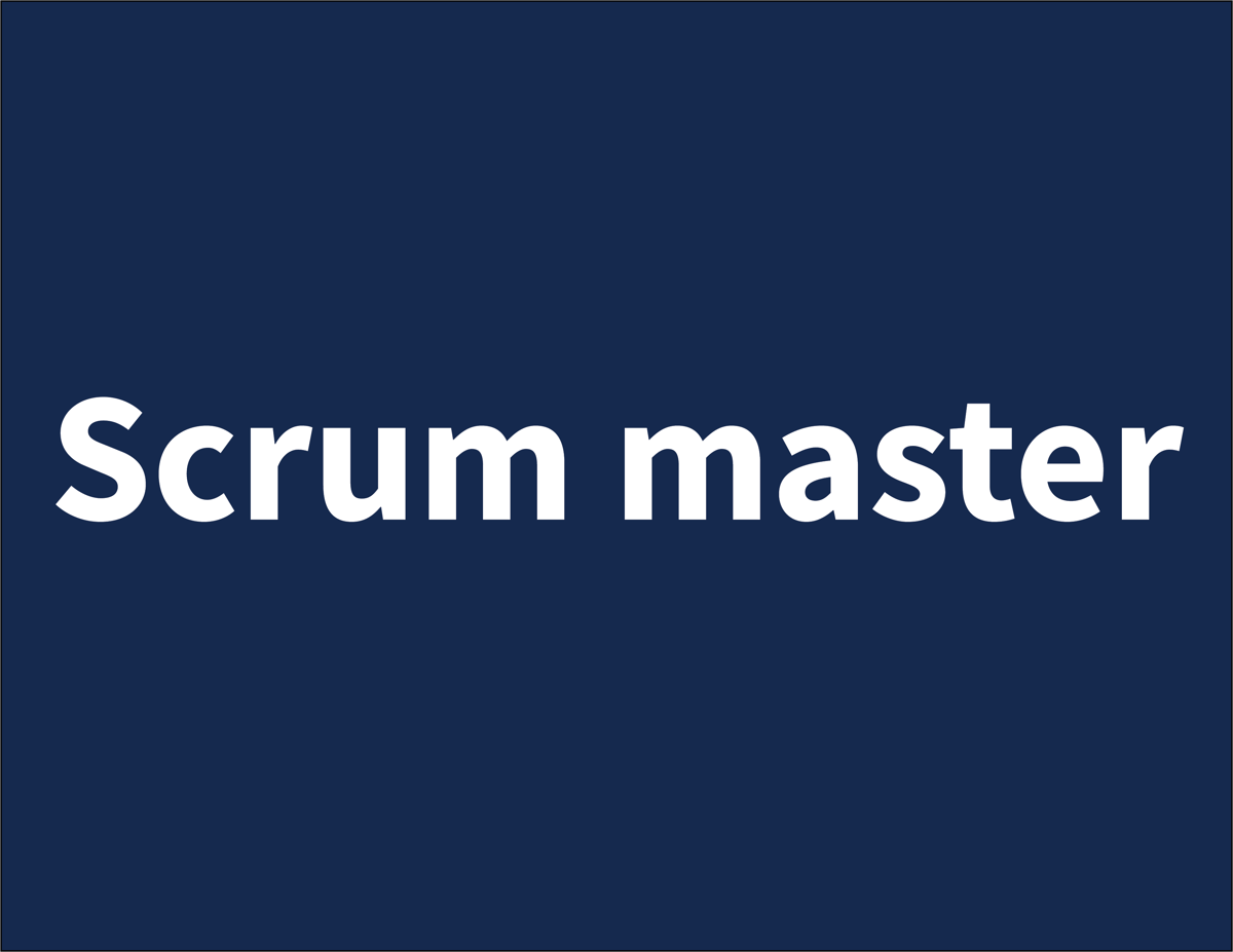 scrum master-1